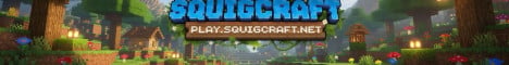 SquigCraft banner