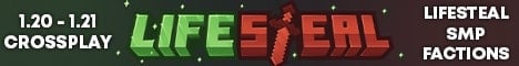 Lifesteal Network banner