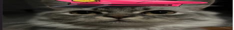 PvPHub banner