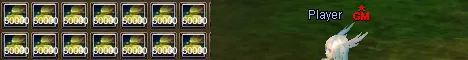 GM Perfect World Private Server GM Commands banner