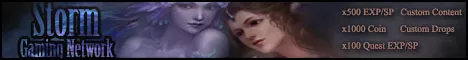 Perfect World Storm banner