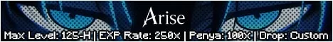 Arise Flyff banner
