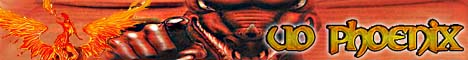 Phoenix In Flames banner