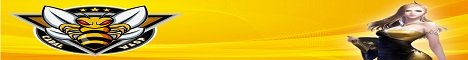 Cabal Wasp 8 Class banner