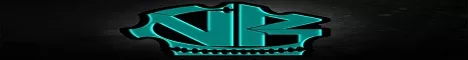 Void Ran Gaming banner
