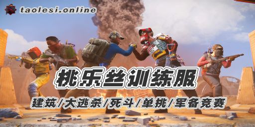 桃乐丝 UKN - 排位1v1|建筑|练枪|死斗飞行专服 banner