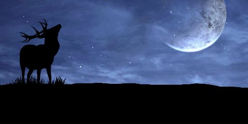 Rust up North banner