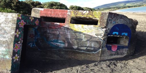 NZ Chill banner