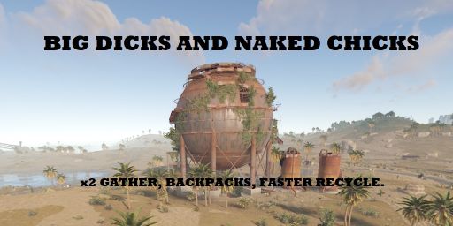 Big Dicks and Naked Chicks banner