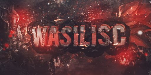 #1 Wasilisc PvE x1 banner