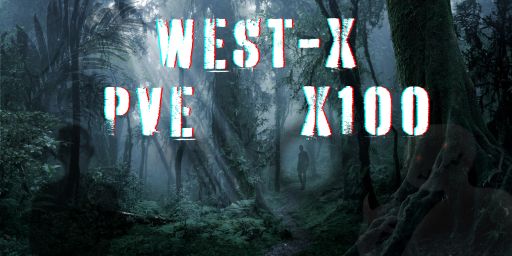 West-X PVE X100 banner