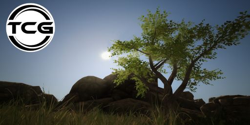 The Casual Gamers DEV banner