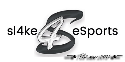 Sl4ke eSports banner