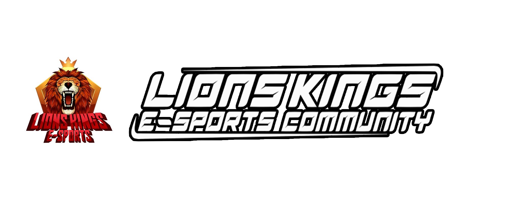 Lions Kings E-Sports Community banner