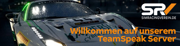 SimRacingVerein.de © banner
