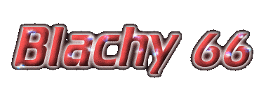 TS Blachy66 & Co. banner