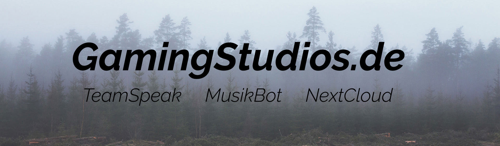 TeamSpeak ]I[ GamingStudios.de banner