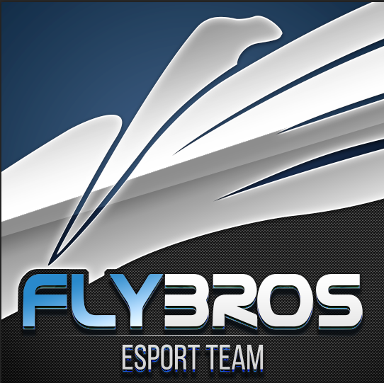 FlyBros banner