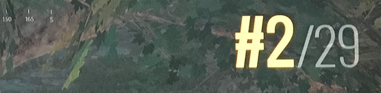 Dragon Heart banner