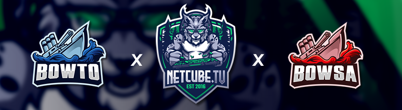 netcube.tv & bowto.eu | Community Teamspeak³ banner