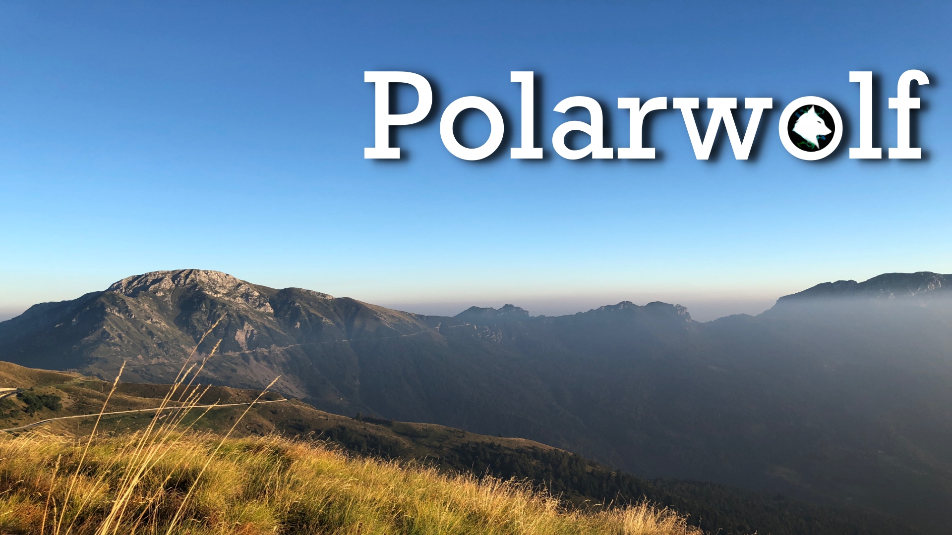 Polarwolf banner
