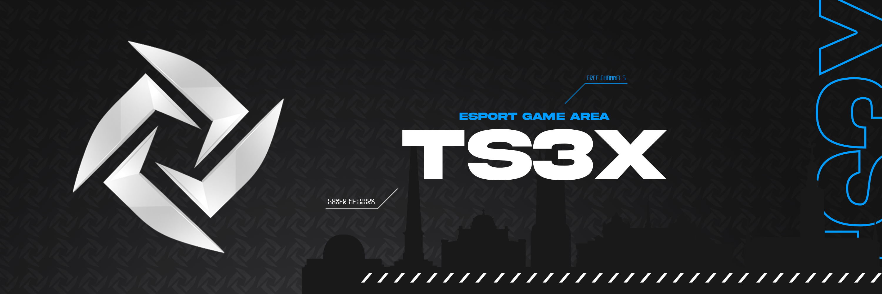 PlayVoice.NET - Russia Gaming Comunity banner