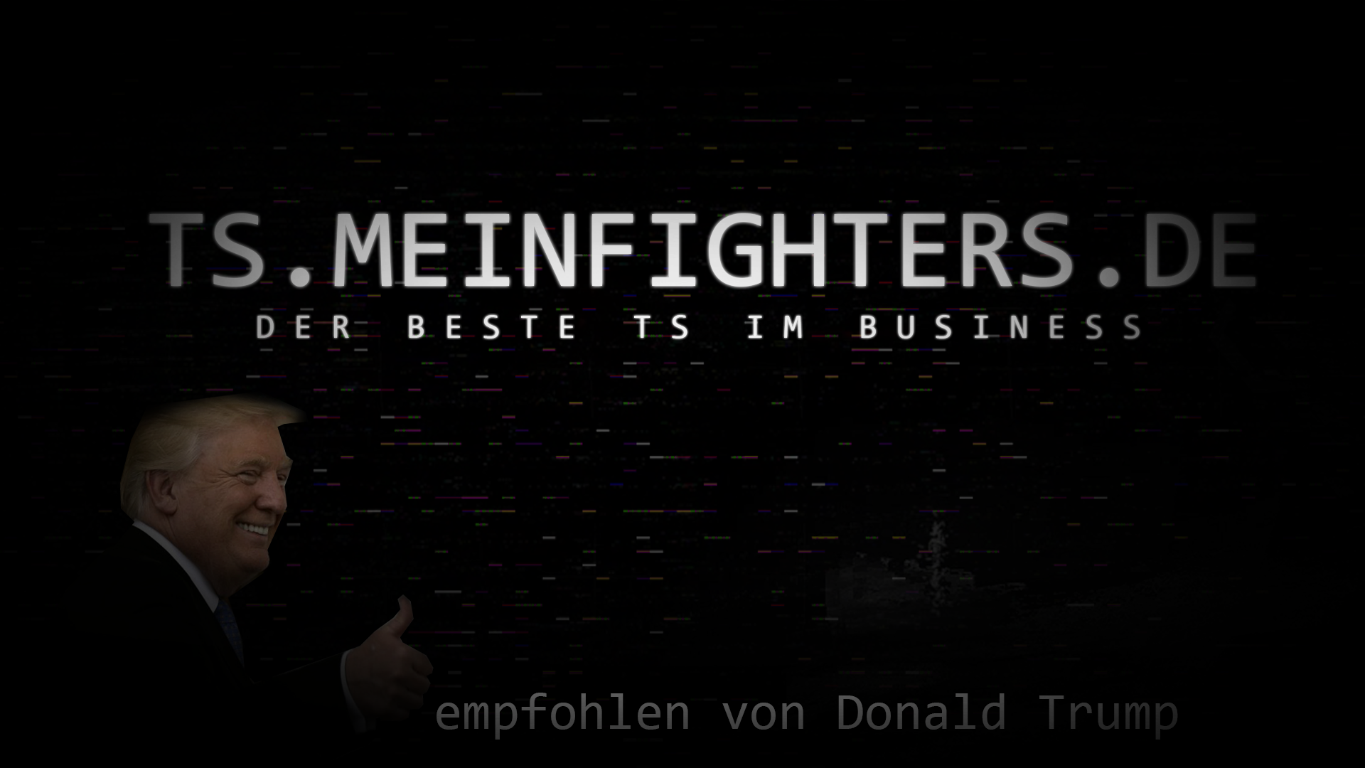 Meinfighters-TS banner