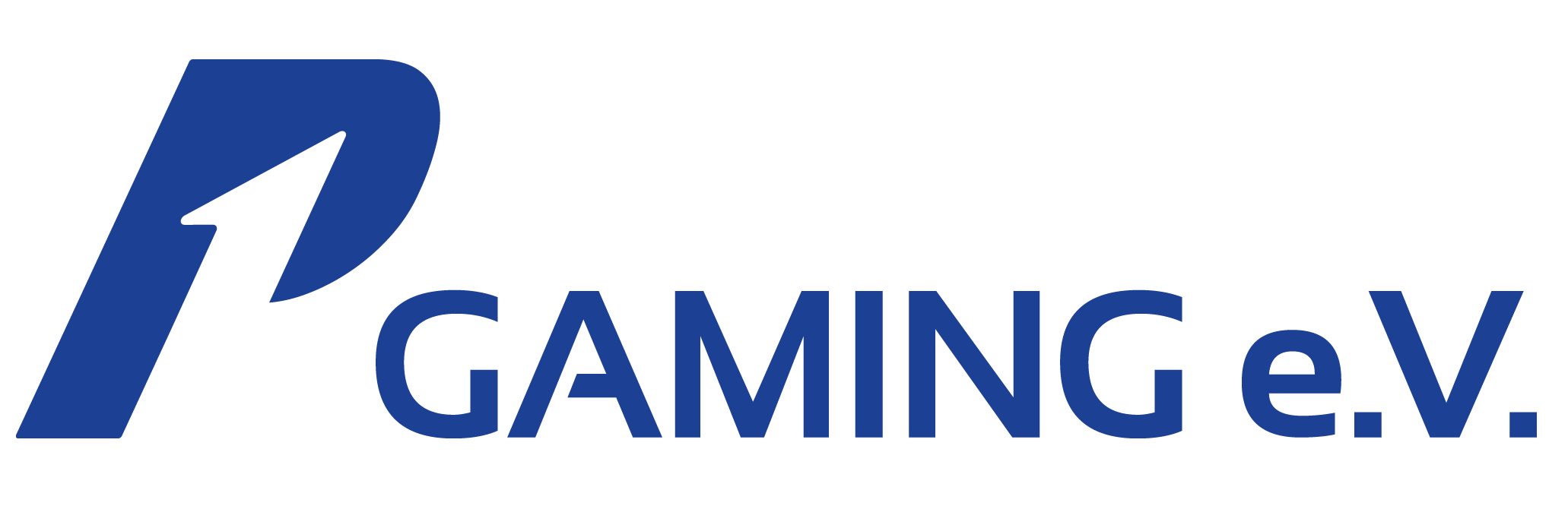 P1-Gaming e.V. banner
