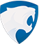 Cheetah-Network banner