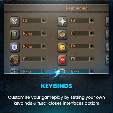 Play Ely screenshot