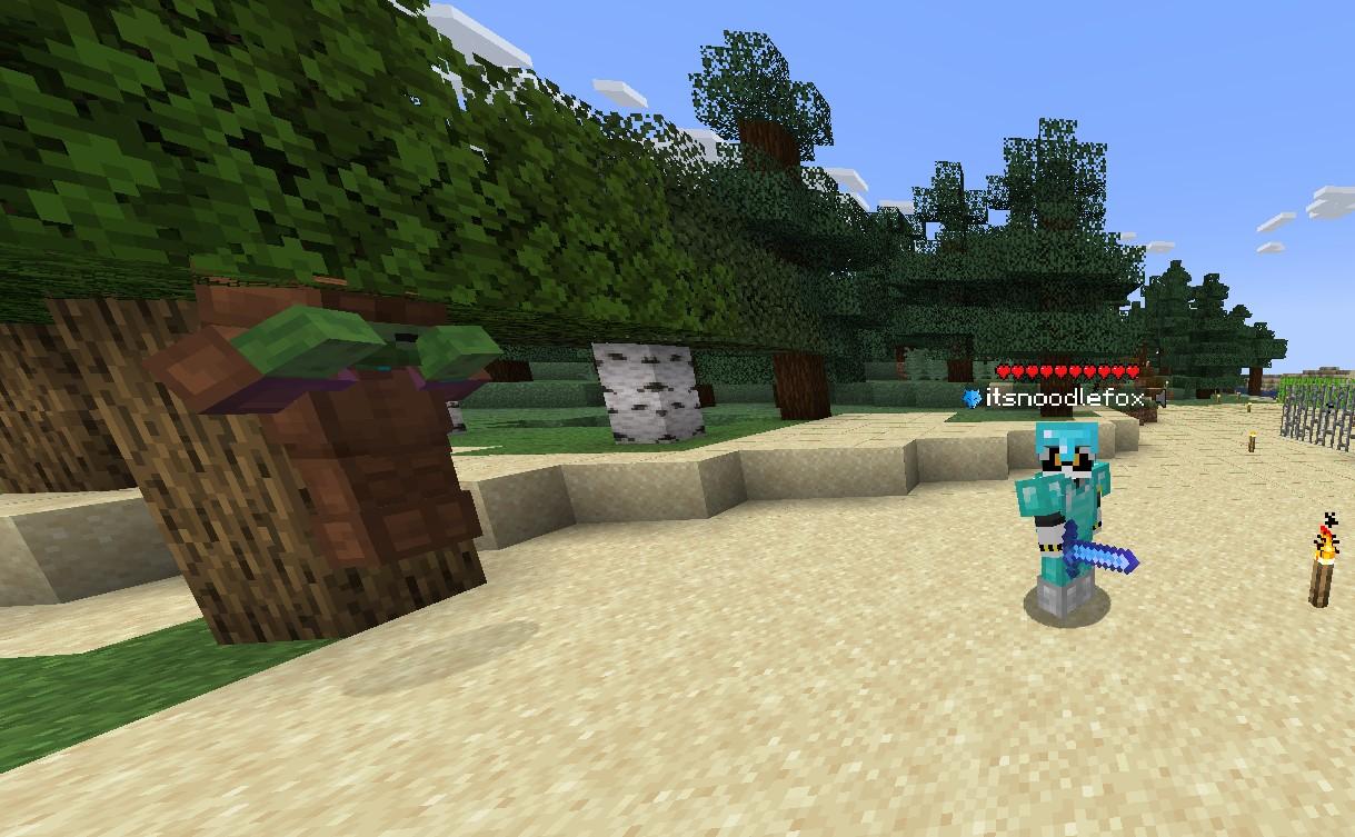 the noodle smp screenshot