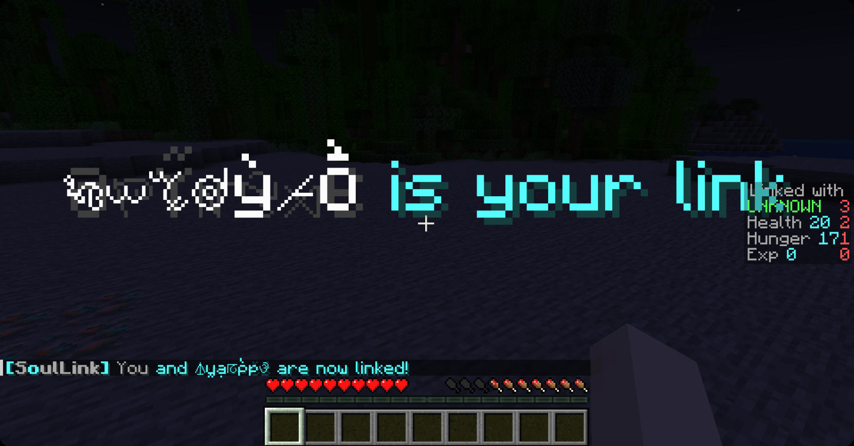 SoulLink Survival screenshot