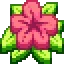 HibiscusMC