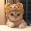 CatPvP