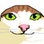 CK Community Server