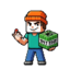 SignalSMP