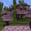 McProUnited Official Minecraft Server