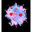 ZarothMC