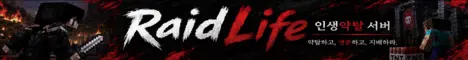 RaidLife