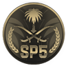 SP5 مود الشرطة