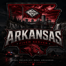 The Arkansas project