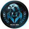L1 مود الشرطة