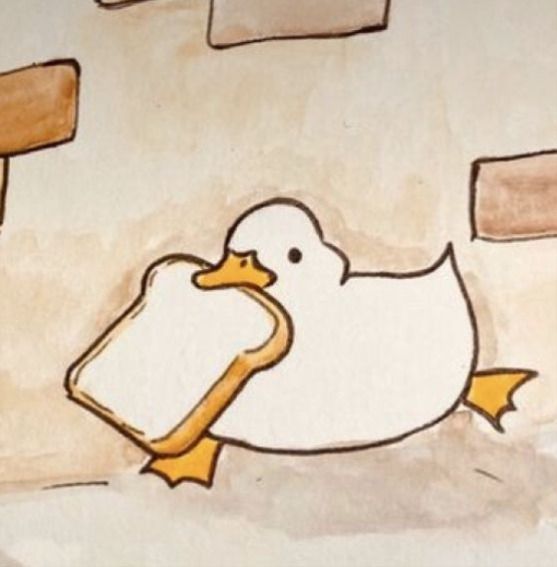 THE DUCKS