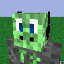 TurtlegangSMP