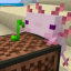 Axolotl Questions SMP