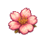 AshBlossom SMP
