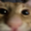 solarsmp