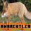 Anarchtica