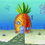 Pineapple survival