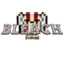 Bleach Evolved